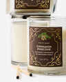 Cinnamon Pinecone Single Wick Candle