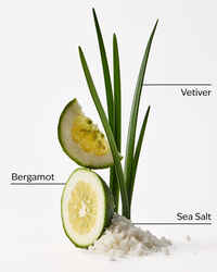 Sea Salt + Musk Fragrance Infused Liquidless Reeds