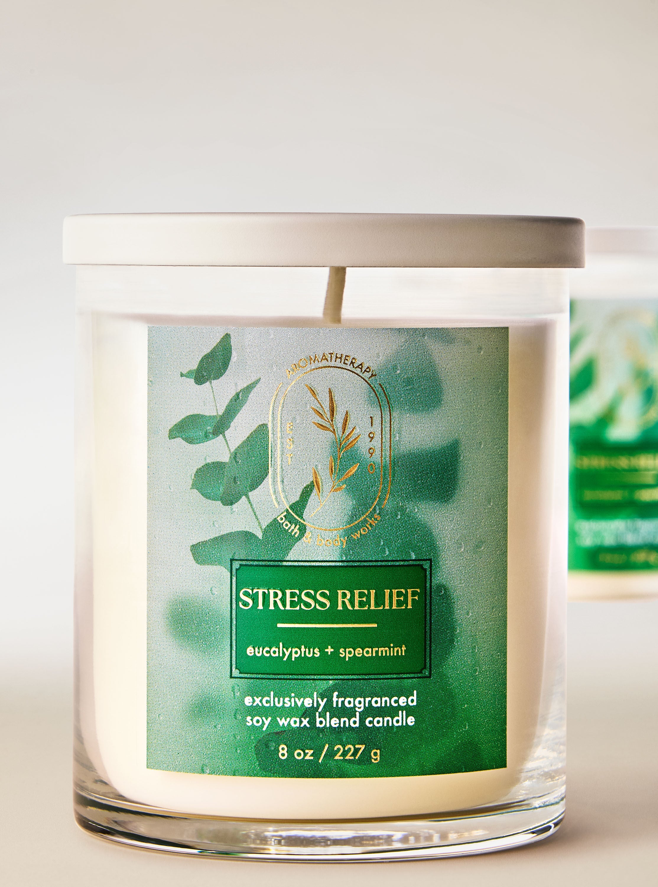 White Barn Eucalyptus Spearmint Candle - Thumbnail 3