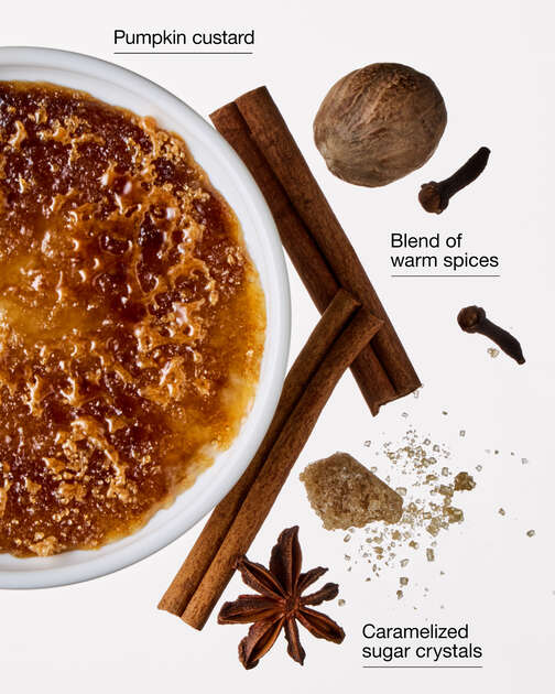 Pumpkin Crème Brûlée 3-Wick Candle