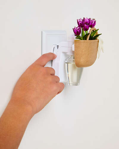 Market Tote Scent Control&trade; Nightlight Wallflowers Fragrance Plug