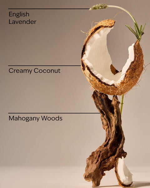 Mahogany Coconut Single Wick Candle
