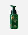 Vanilla Bean Noel Gentle & Clean Foaming Hand Soap