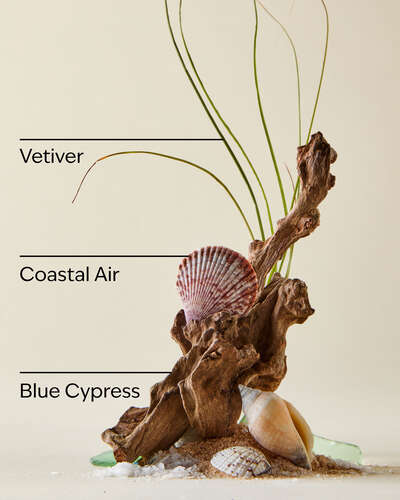 Ocean Antiperspirant Deodorant