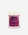 A Thousand Wishes Single Wick Candle