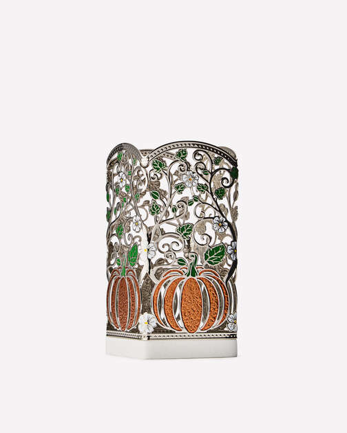 Pretty Pumpkin  Soap Holder