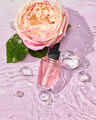 A Thousand Wishes Wallflowers Fragrance Refill