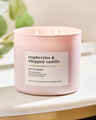 Raspberries & Whipped Vanilla 3-Wick Candle