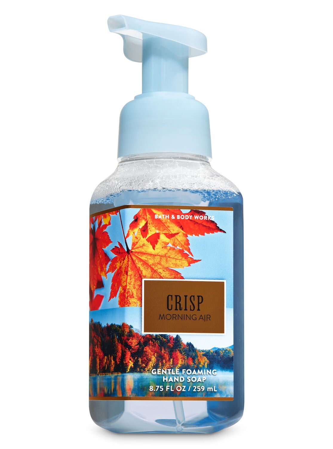 Crisp Morning Air Gentle Foaming Hand Soap - Bath And Body Works