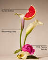 First Blooms Of Spring 3-Wick Candle