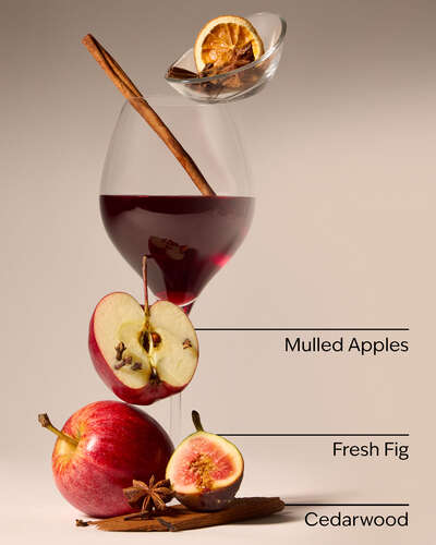 Wine Cellar 3-Wick Candle