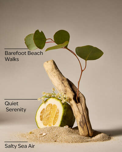 Ocean Town Bound Wallflowers Fragrance Refill