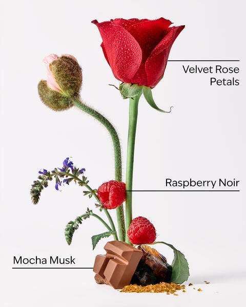 Into the Night Travel Size Ultimate Hydration Body Cream