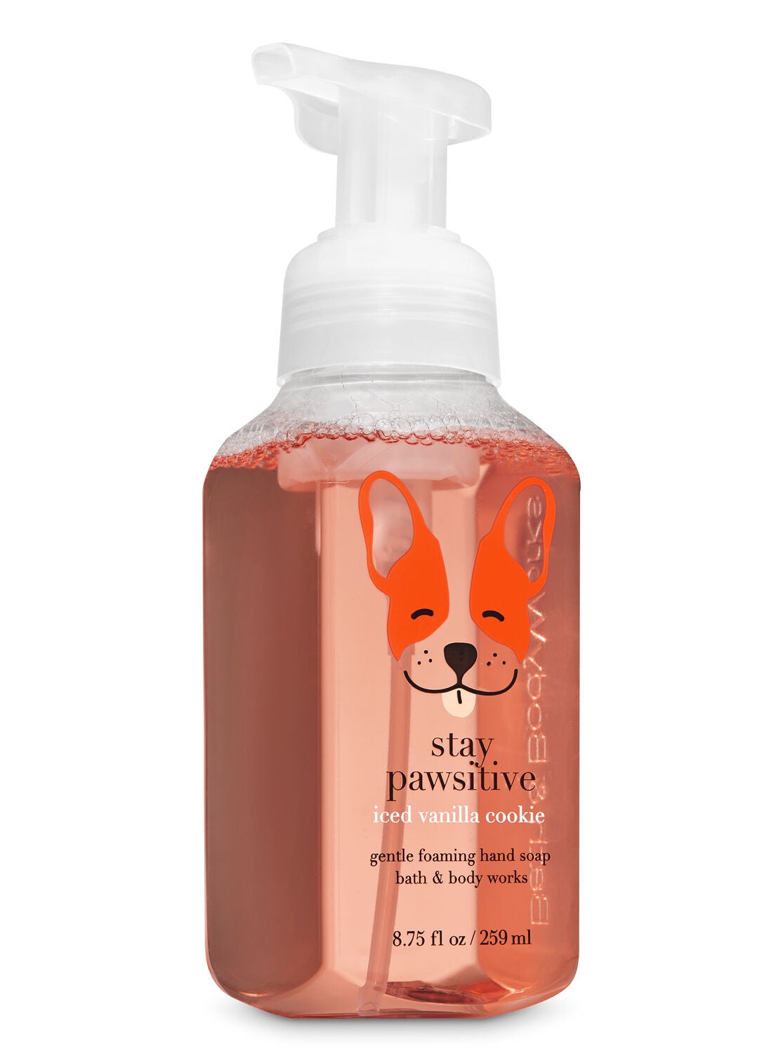 Iced Vanilla Cookie Gentle Foaming Hand Soap - Bath And Body Works