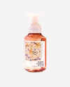 Warm Vanilla Sugar Gentle & Clean Foaming Hand Soap