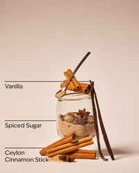 Cinnamon Stick Wallflowers Refills 2-Pack