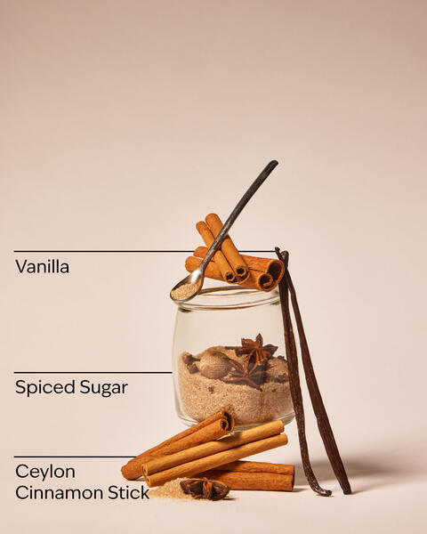 Cinnamon Stick Wallflowers Refills 2-Pack