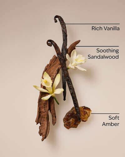 Cozy Amber & Vanilla Single Wick Candle