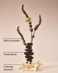 Sweet Lavender Daily Moisturizing Hand Soap