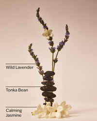 Sweet Lavender Daily Moisturizing Hand Soap