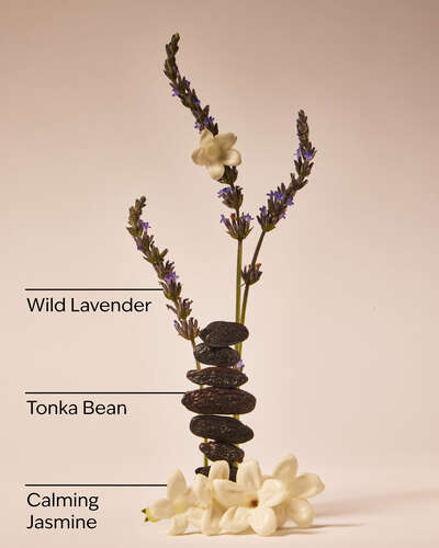 Sweet Lavender Daily Moisturizing Hand Soap