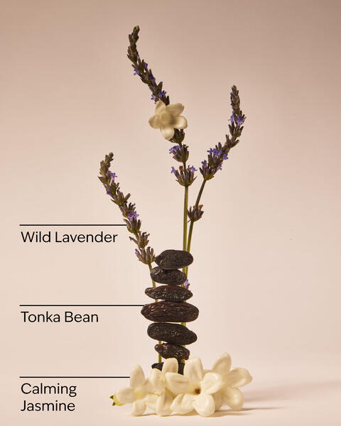 Sweet Lavender Daily Moisturizing Hand Soap