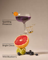 Blueberry Bellini Gentle & Clean Foaming Hand Soap