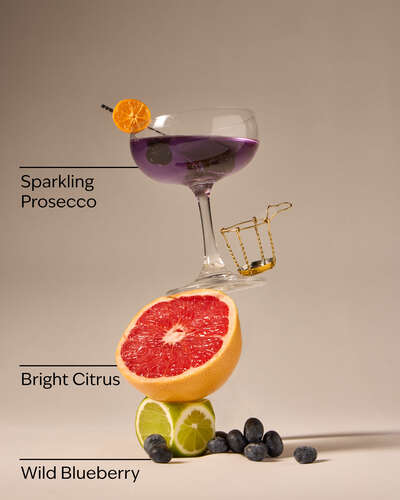 Blueberry Bellini Gentle & Clean Foaming Hand Soap