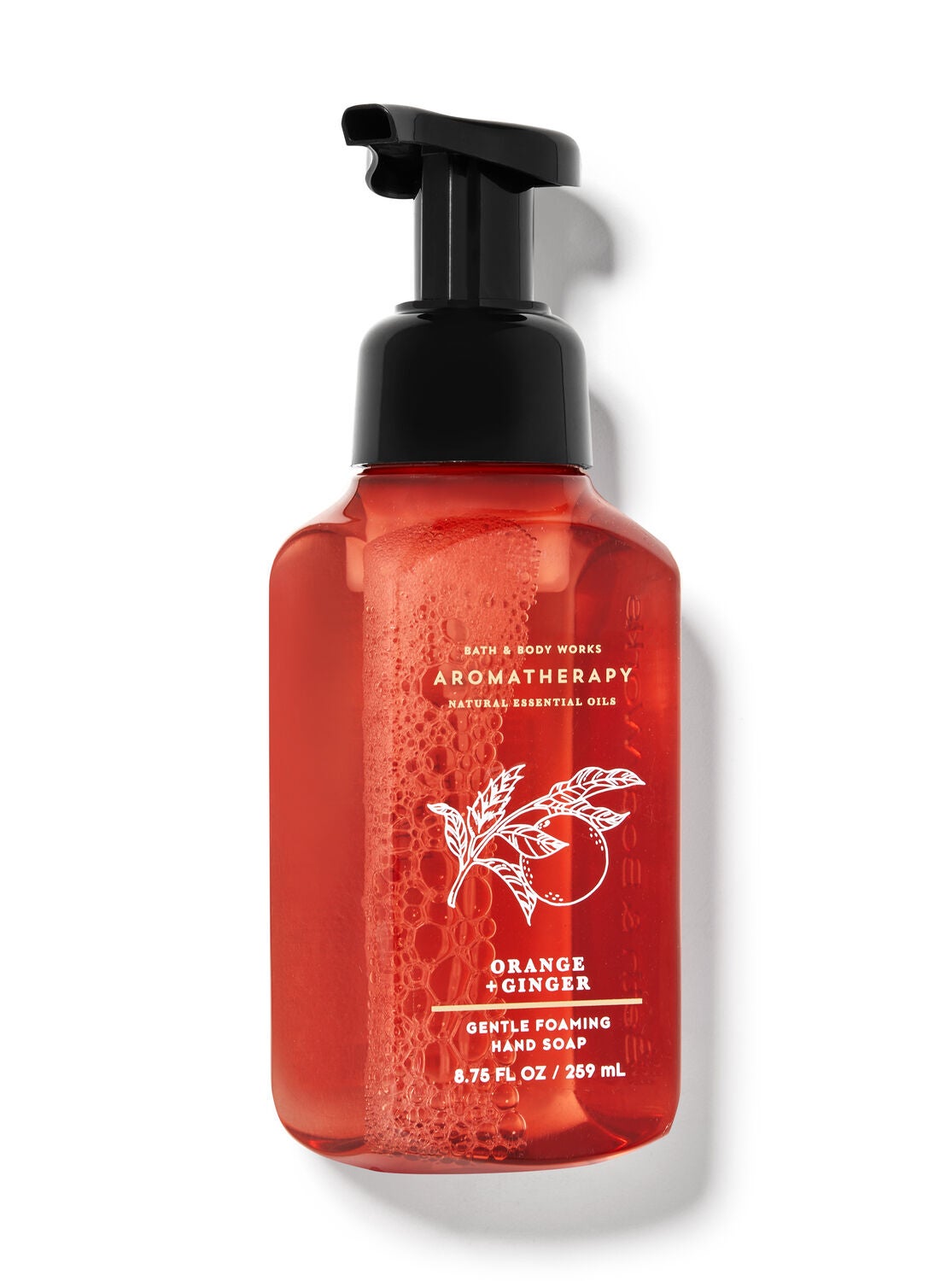 Orange Ginger Gentle Foaming Hand Soap