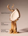 Brown Sugar & Coconut Revitalizing Gel Hand Soap