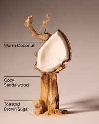 Brown Sugar & Coconut Revitalizing Gel Hand Soap