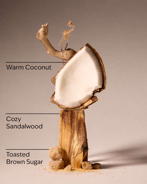Brown Sugar Coconut Revitalizing Gel Hand Soap