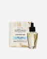 Clean House Vibes Wallflowers Refills 2-Pack