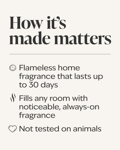 Sandbar Wallflowers Fragrance Refill