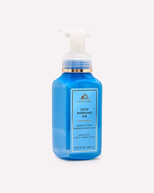 Crisp Morning Air Gentle & Clean Foaming Hand Soap