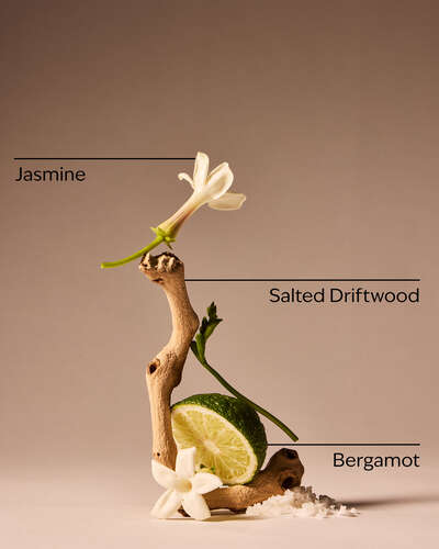 Sea Salt Cliffs Gentle & Clean Foaming Hand Soap Refill