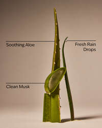 Cool Aloe Water Daily Moisturizing Hand Soap