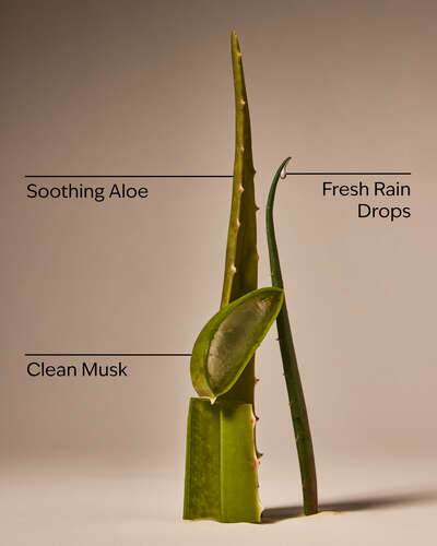 Cool Aloe Water Daily Moisturizing Hand Soap