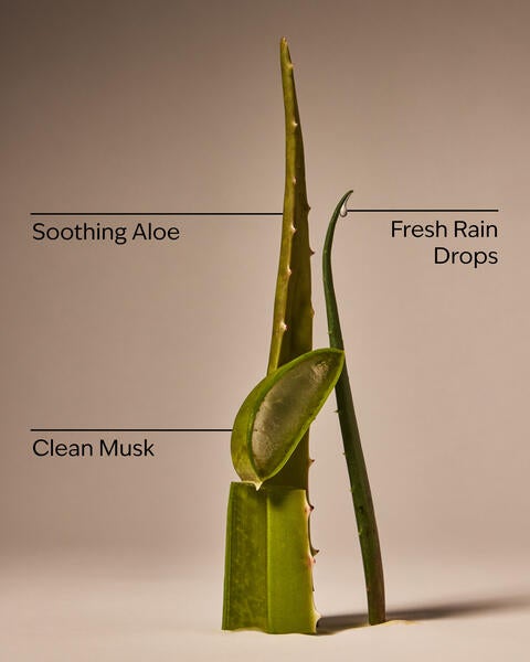 Cool Aloe Water Daily Moisturizing Hand Soap