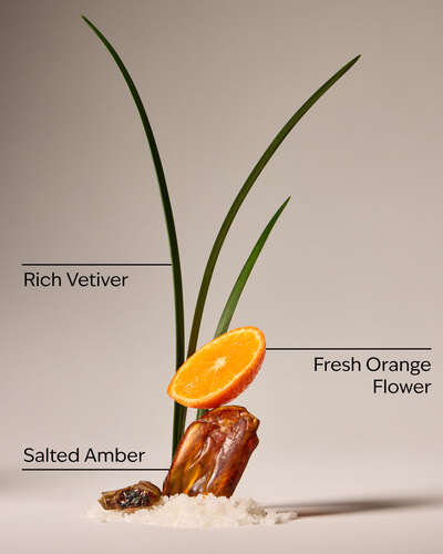 Salted Amber & Vetiver Concentrated Room Spray