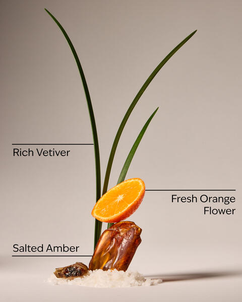 Salted Amber & Vetiver Concentrated Room Spray