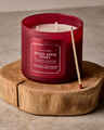 Spiced Apple Toddy 3-Wick Candle