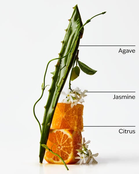 Sweet Orange + Agave Room Mist