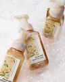 Backyard Honeysuckle Gentle & Clean Foaming Hand Soap