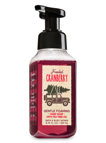 FROSTED CRANBERRY Gentle Foaming Hand Soap