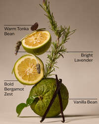 Lavender Bergamot Gentle & Clean Foaming Hand Soap
