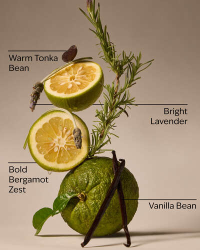 Lavender Bergamot Gentle & Clean Foaming Hand Soap