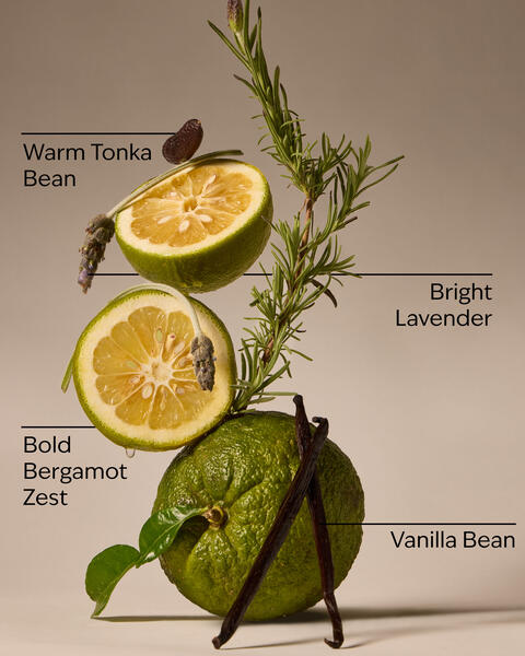 Lavender Bergamot Gentle & Clean Foaming Hand Soap