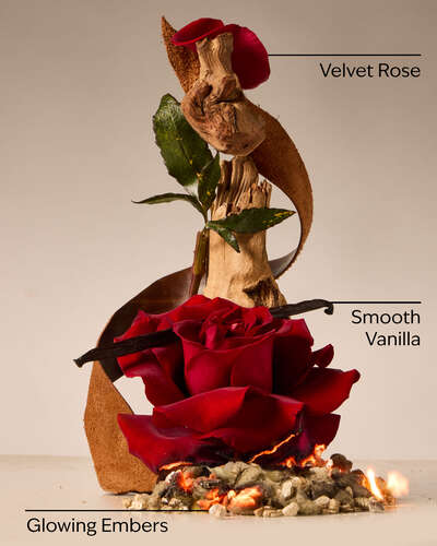 Rosewood & Suede Single Wick Candle