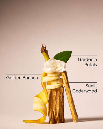 Dreaming Of Rio Body Butter